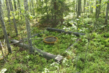 Metsässä vanha nuotiopaikka eli betonirengas, jonka ympärillä on neliön muotoinen puukehä.