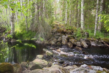 Metsässä oleva puro, jonka molemmin puolin samassa kohtaa on suuria kiviä.