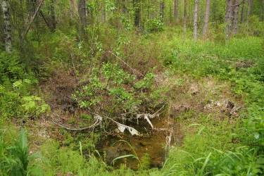Vesilätäkkö painauman pohjalla metsässä.